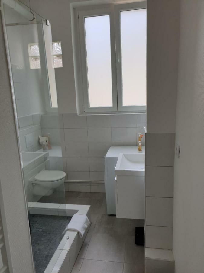 Apartament Strasbourg Centre Le 85, Superbe F5, 125M2, 5 Pieces Zewnętrze zdjęcie