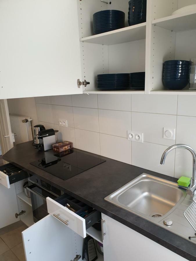 Apartament Strasbourg Centre Le 85, Superbe F5, 125M2, 5 Pieces Zewnętrze zdjęcie