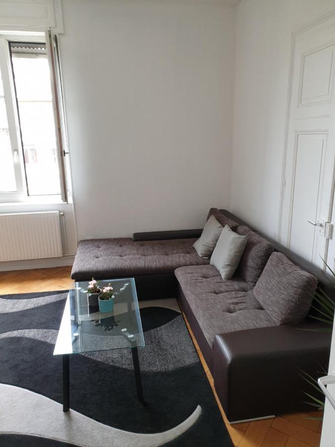 Apartament Strasbourg Centre Le 85, Superbe F5, 125M2, 5 Pieces Zewnętrze zdjęcie